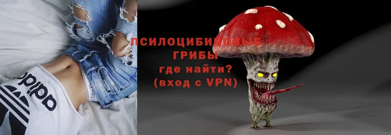 Псилоцибиновые грибы Magic Shrooms  blacksprut ТОР  Красноармейск 